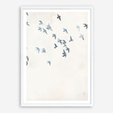 Pigeons Sky Art Print