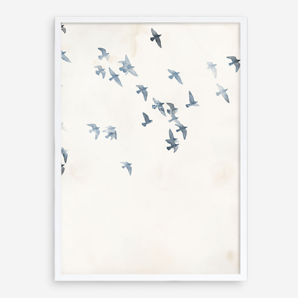Pigeons Sky Art Print