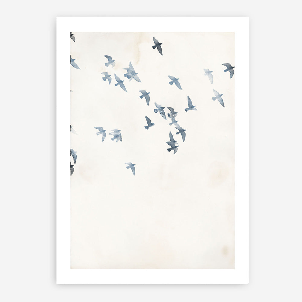 Pigeons Sky Art Print