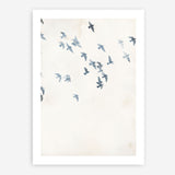 Pigeons Sky Art Print