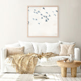 Pigeons Sky (Square) Art Print