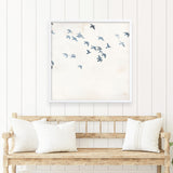 Pigeons Sky (Square) Art Print