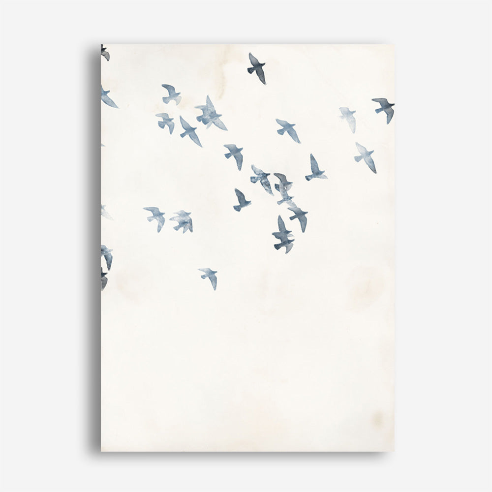 Pigeons Sky Canvas Print