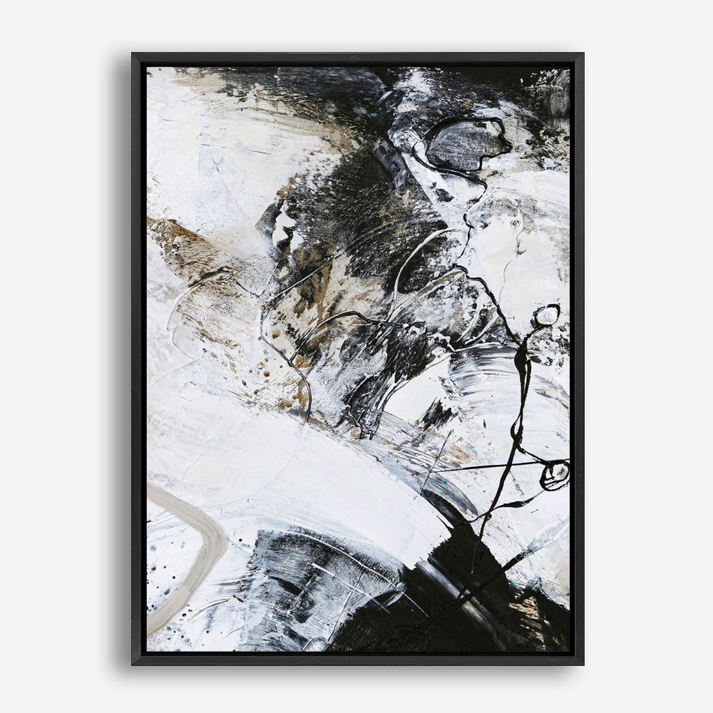 Black and White 1 Canvas Print