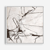 Creation (Square) Canvas Print