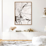 Creation Canvas Print