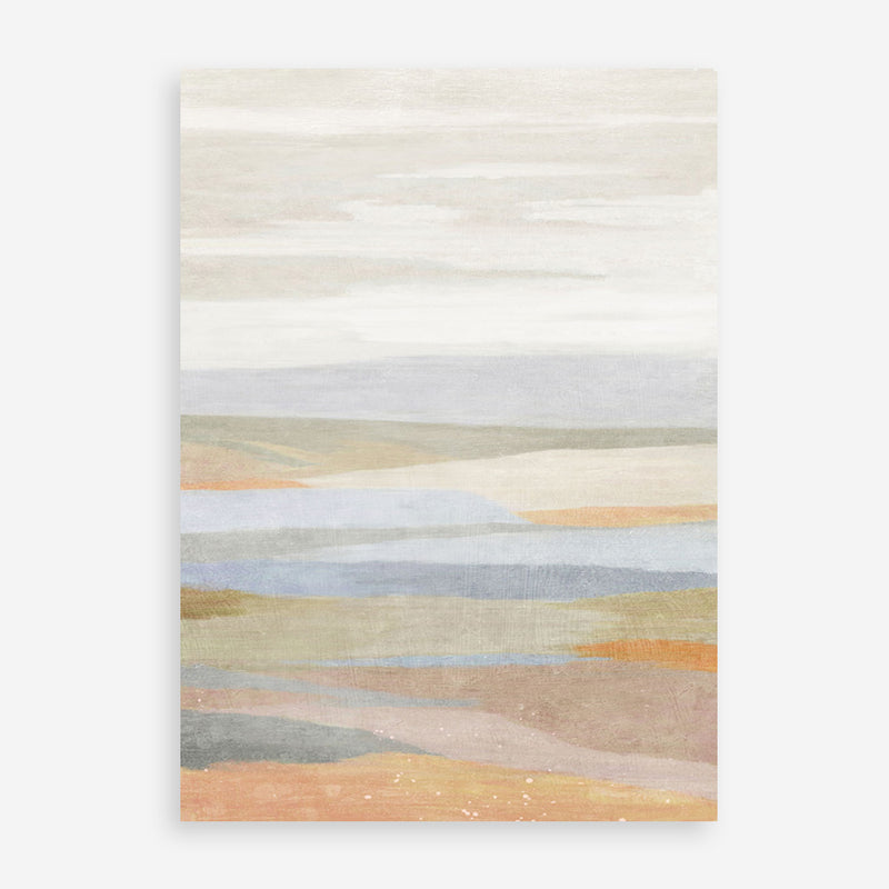 Sonoran 2 Art Print