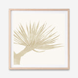 Neutral Tropico No. 2 (Square) Art Print