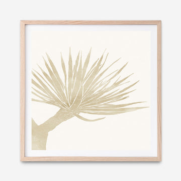 Neutral Tropico No. 2 (Square) Art Print