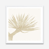 Neutral Tropico No. 2 (Square) Art Print
