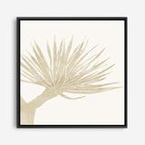 Neutral Tropico No. 2 (Square) Canvas Print