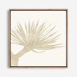 Neutral Tropico No. 2 (Square) Canvas Print