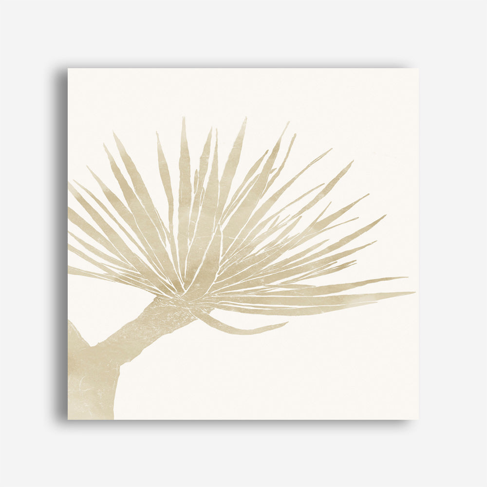 Neutral Tropico No. 2 (Square) Canvas Print
