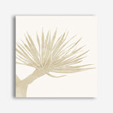 Neutral Tropico No. 2 (Square) Canvas Print