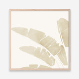 Neutral Tropico No. 4 (Square) Art Print