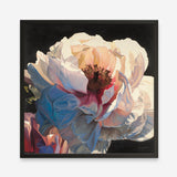 Morning Glow I (Square) Art Print