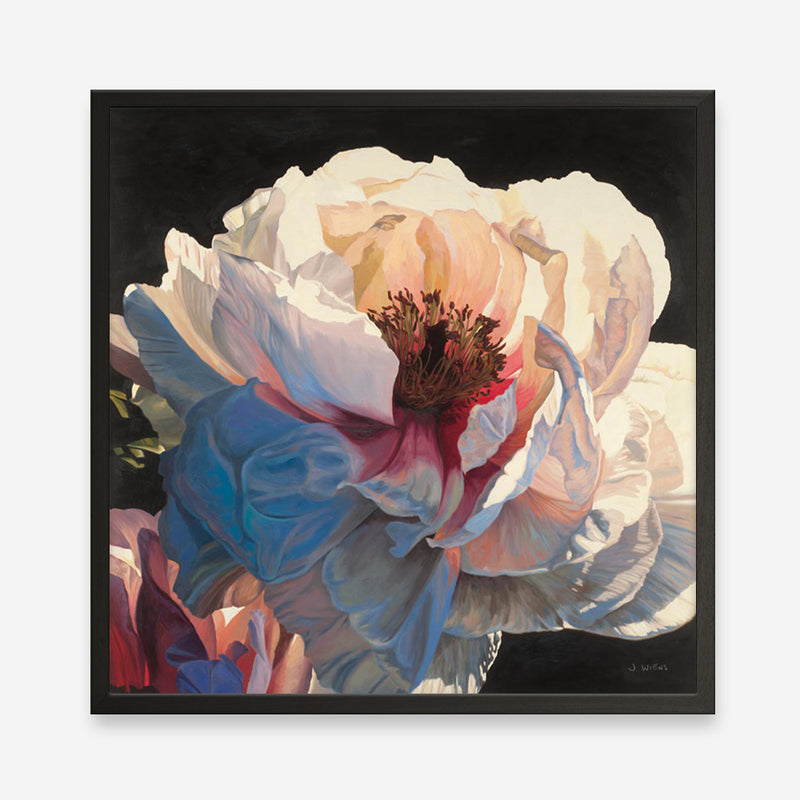 Morning Glow I (Square) Art Print