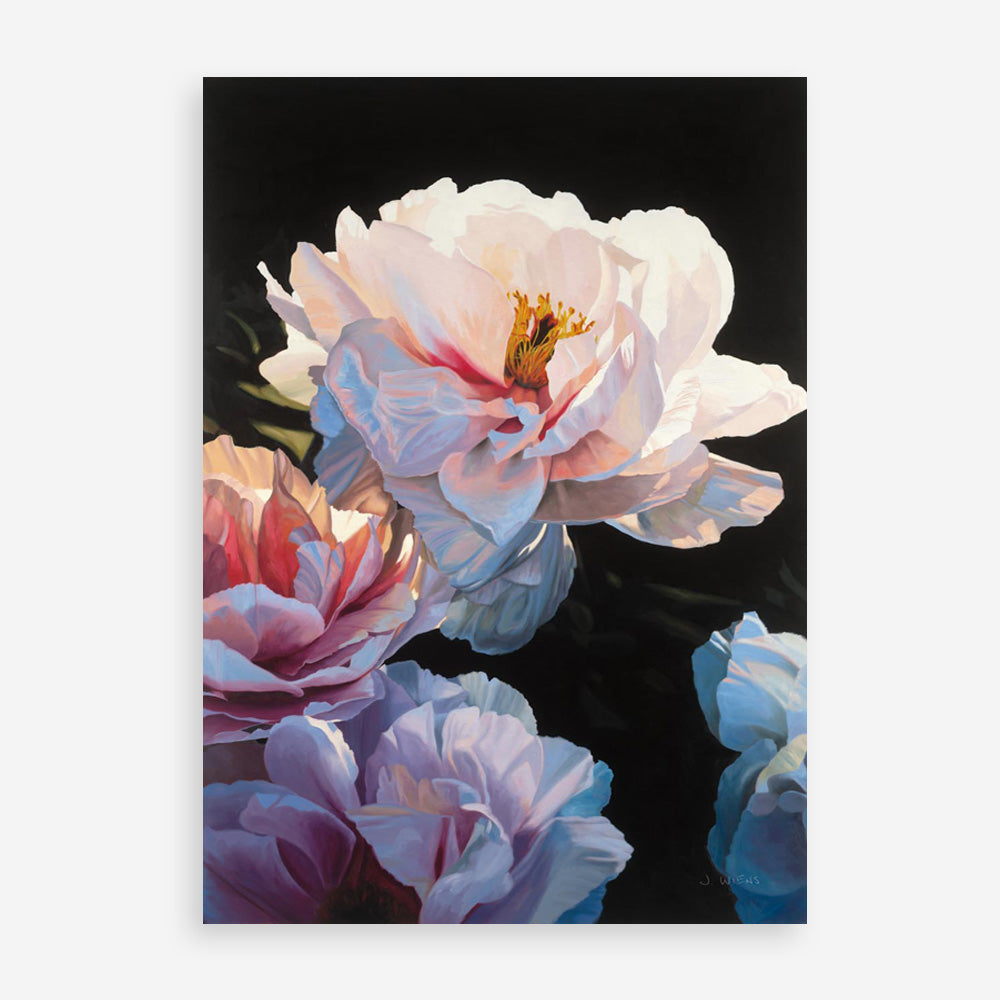 Morning Glow II Art Print