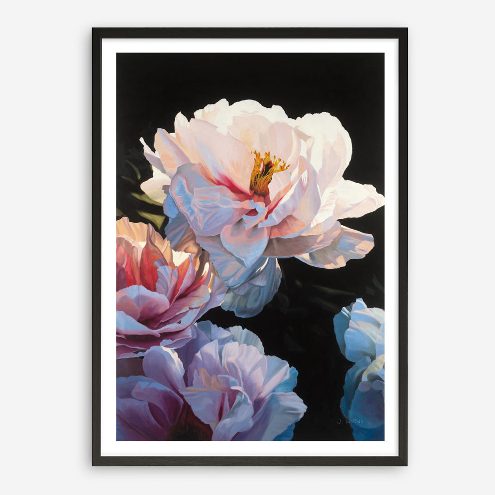 Morning Glow II Art Print