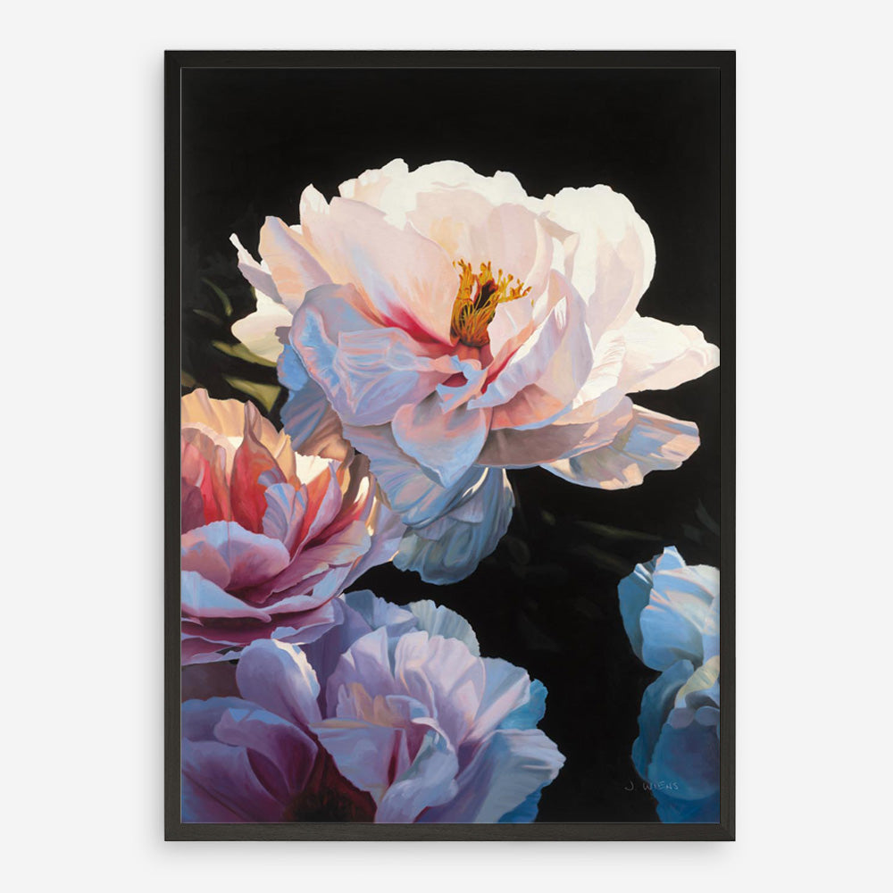 Morning Glow II Art Print