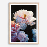 Morning Glow II Art Print