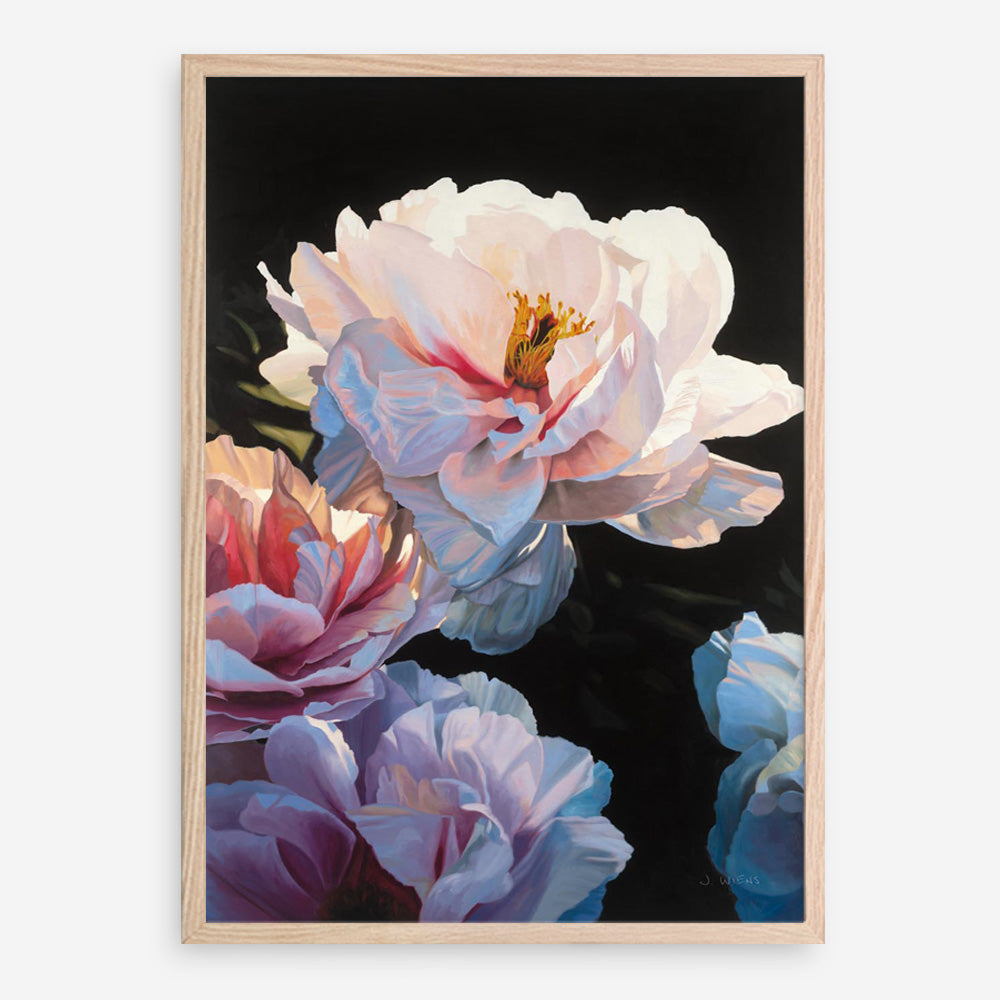 Morning Glow II Art Print