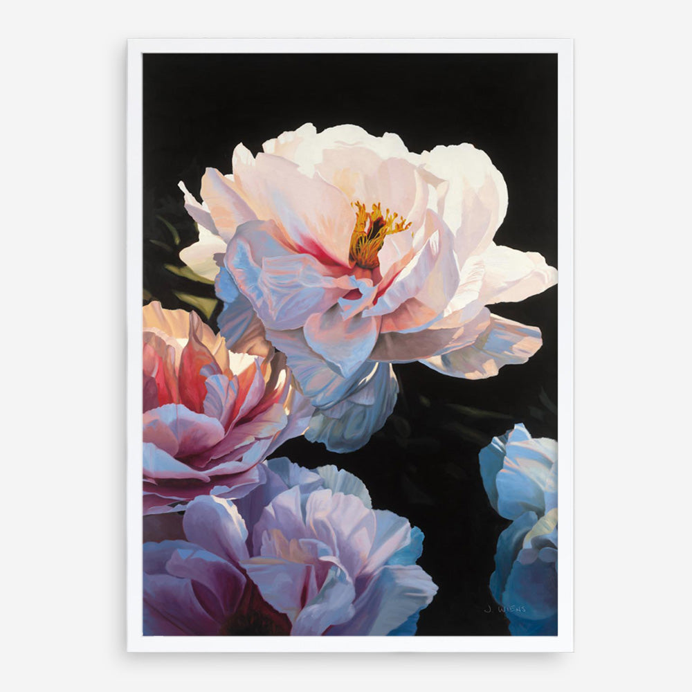 Morning Glow II Art Print