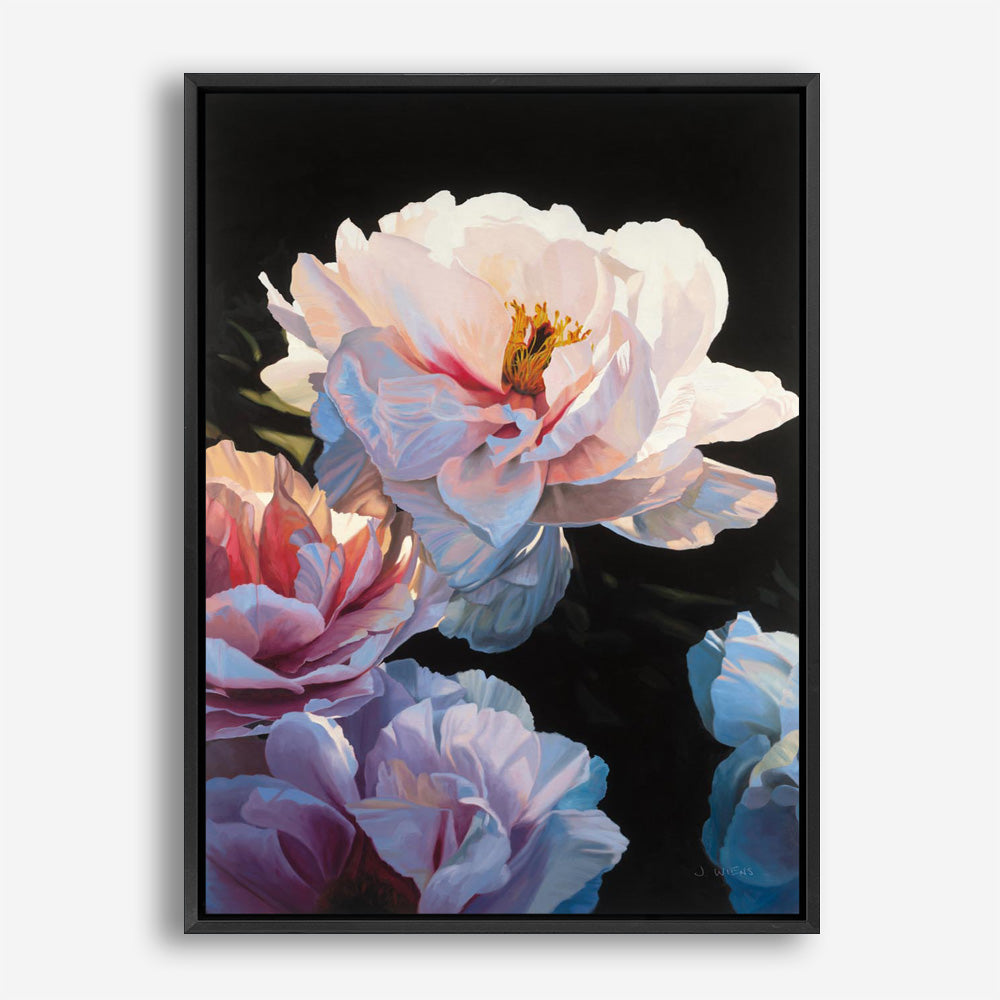 Morning Glow II Canvas Print