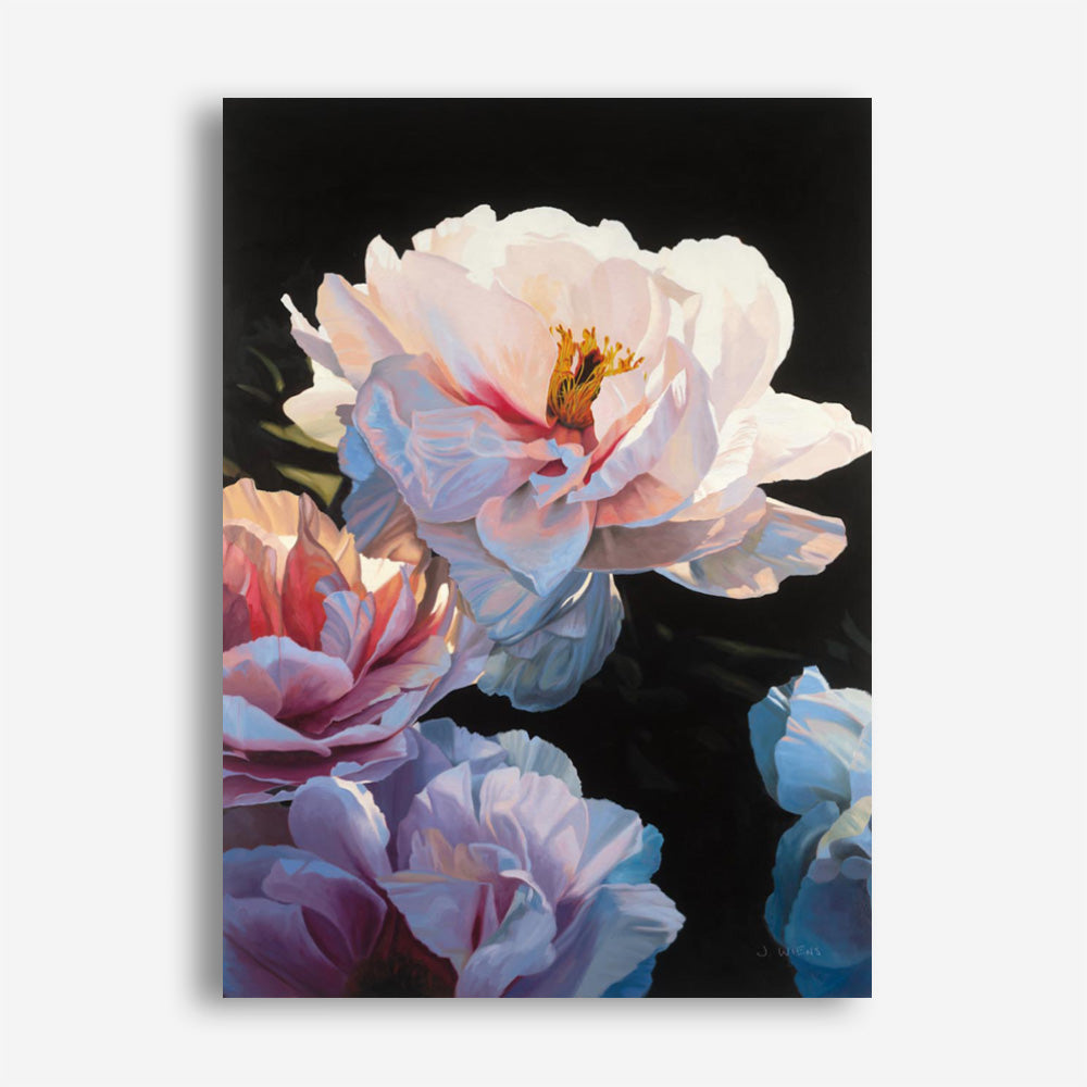 Morning Glow II Canvas Print