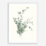 Scented Sprig II Cool Art Print