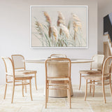 Neutral Pampas Grasses Canvas Print