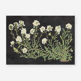 Vintage Flowers on Black Art Print