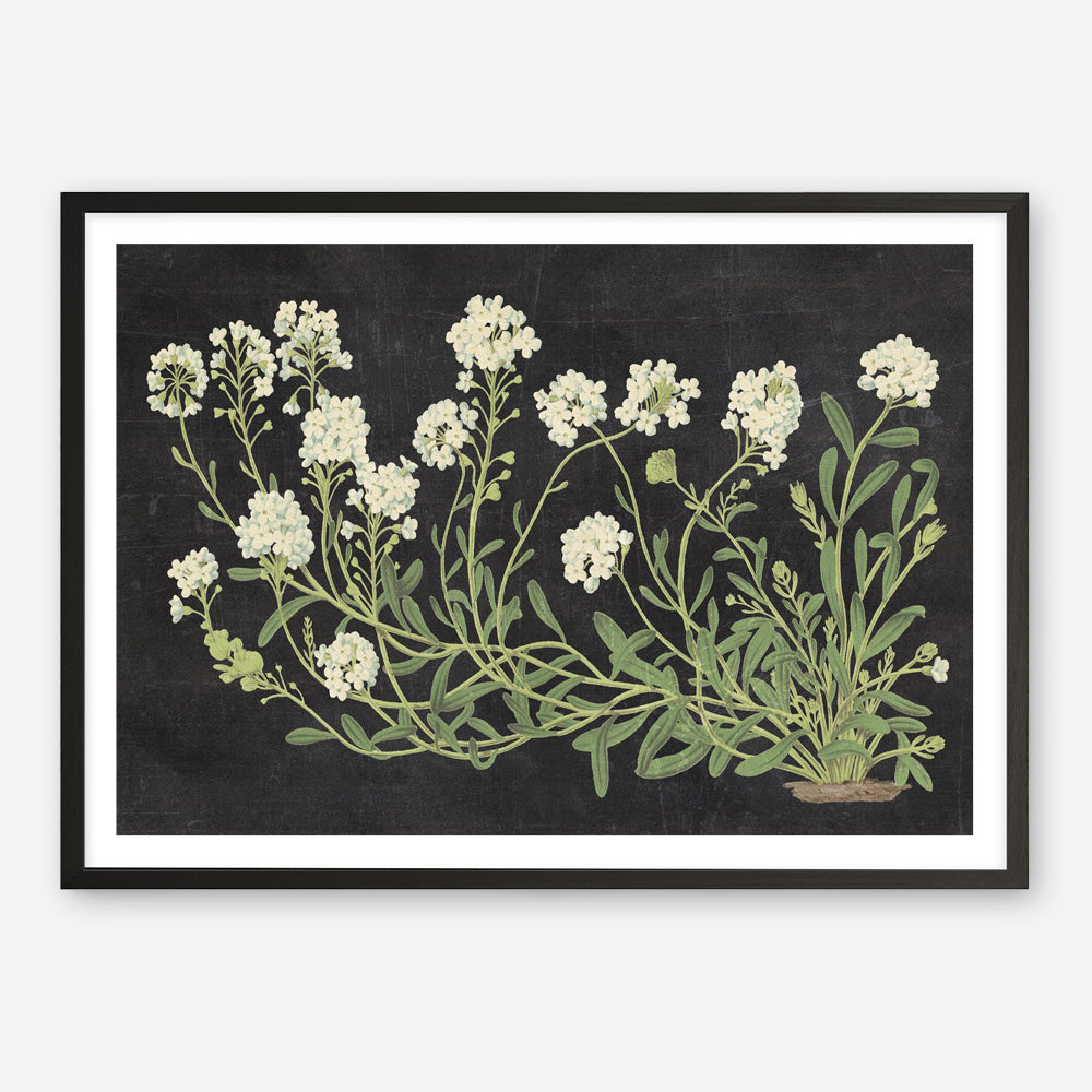 Vintage Flowers on Black Art Print