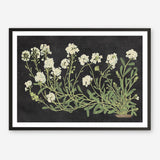 Vintage Flowers on Black Art Print
