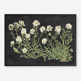 Vintage Flowers on Black Art Print