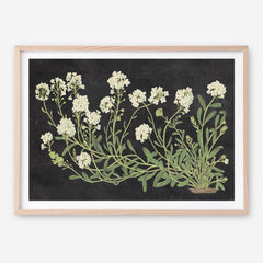 Vintage Flowers on Black Art Print