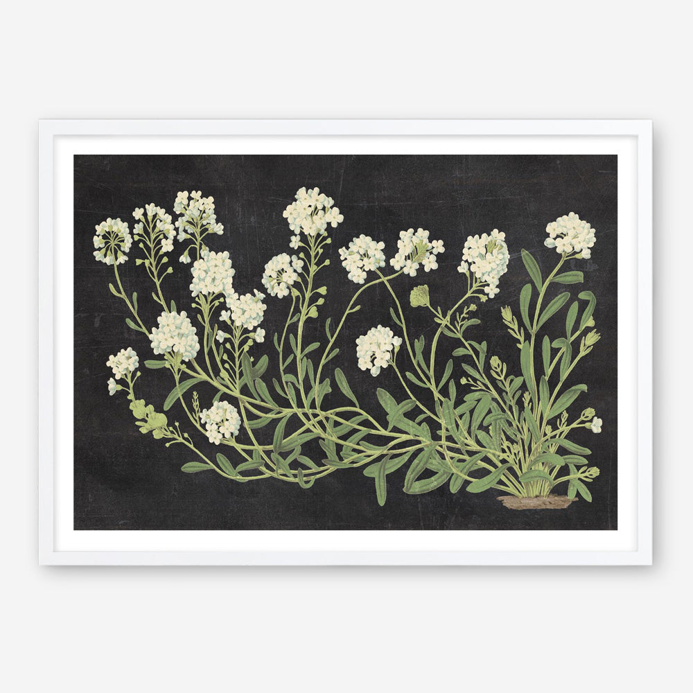 Vintage Flowers on Black Art Print