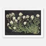 Vintage Flowers on Black Art Print