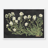 Vintage Flowers on Black Art Print