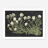 Vintage Flowers on Black Art Print