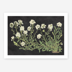 Vintage Flowers on Black Art Print