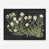 Vintage Flowers on Black Canvas Print