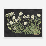Vintage Flowers on Black Canvas Print