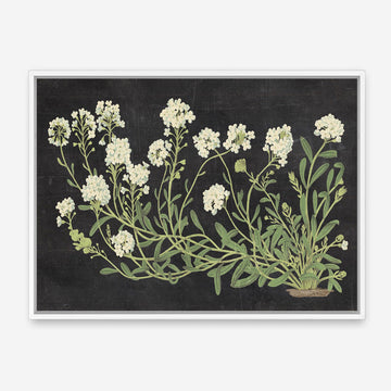 Vintage Flowers on Black Canvas Wall Art Print
