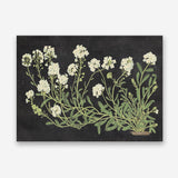 Vintage Flowers on Black Canvas Print