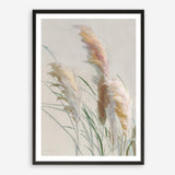 Neutral Pampas Grasses II Art Print