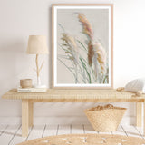 Neutral Pampas Grasses II Art Print