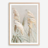 Neutral Pampas Grasses III Art Print
