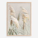 Neutral Pampas Grasses III Art Print