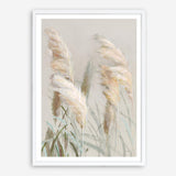 Neutral Pampas Grasses III Art Print